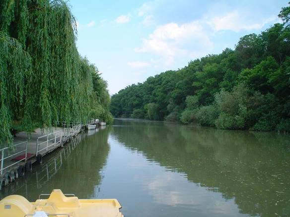 Kamchiya river
